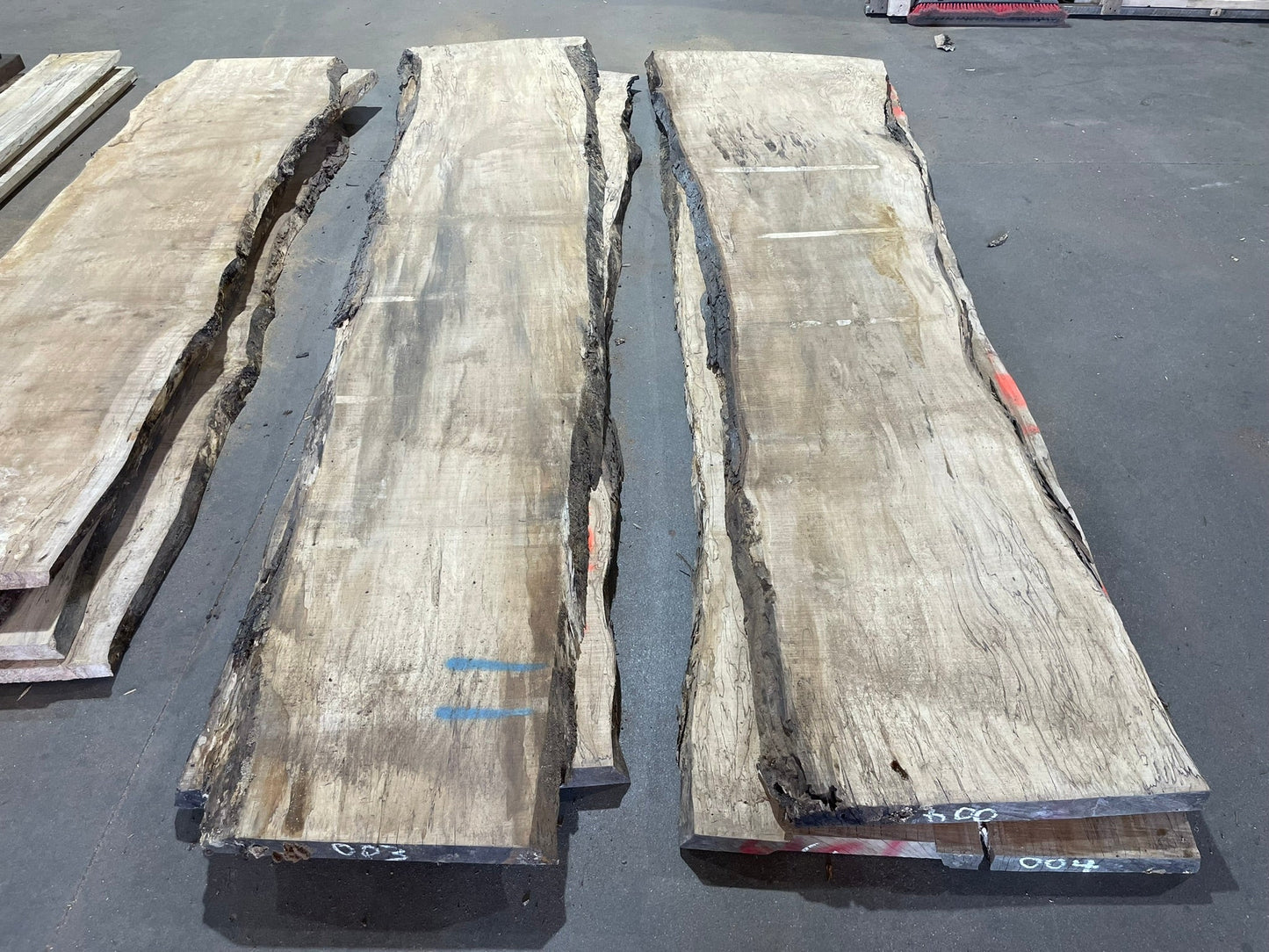 10/4 Live Edge Spalted Maple 22"+ Wide