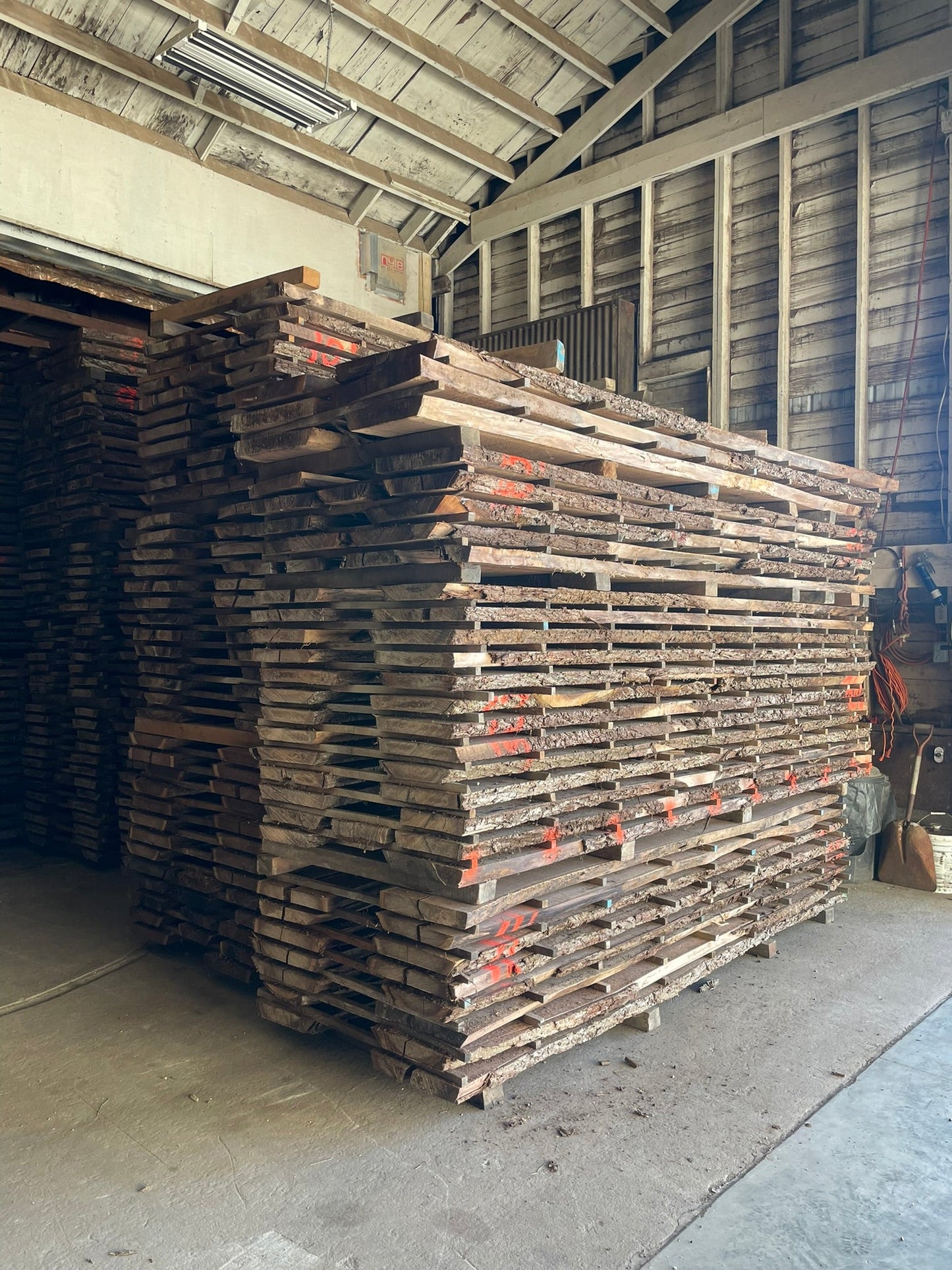 8/4 Live Edge Black Walnut