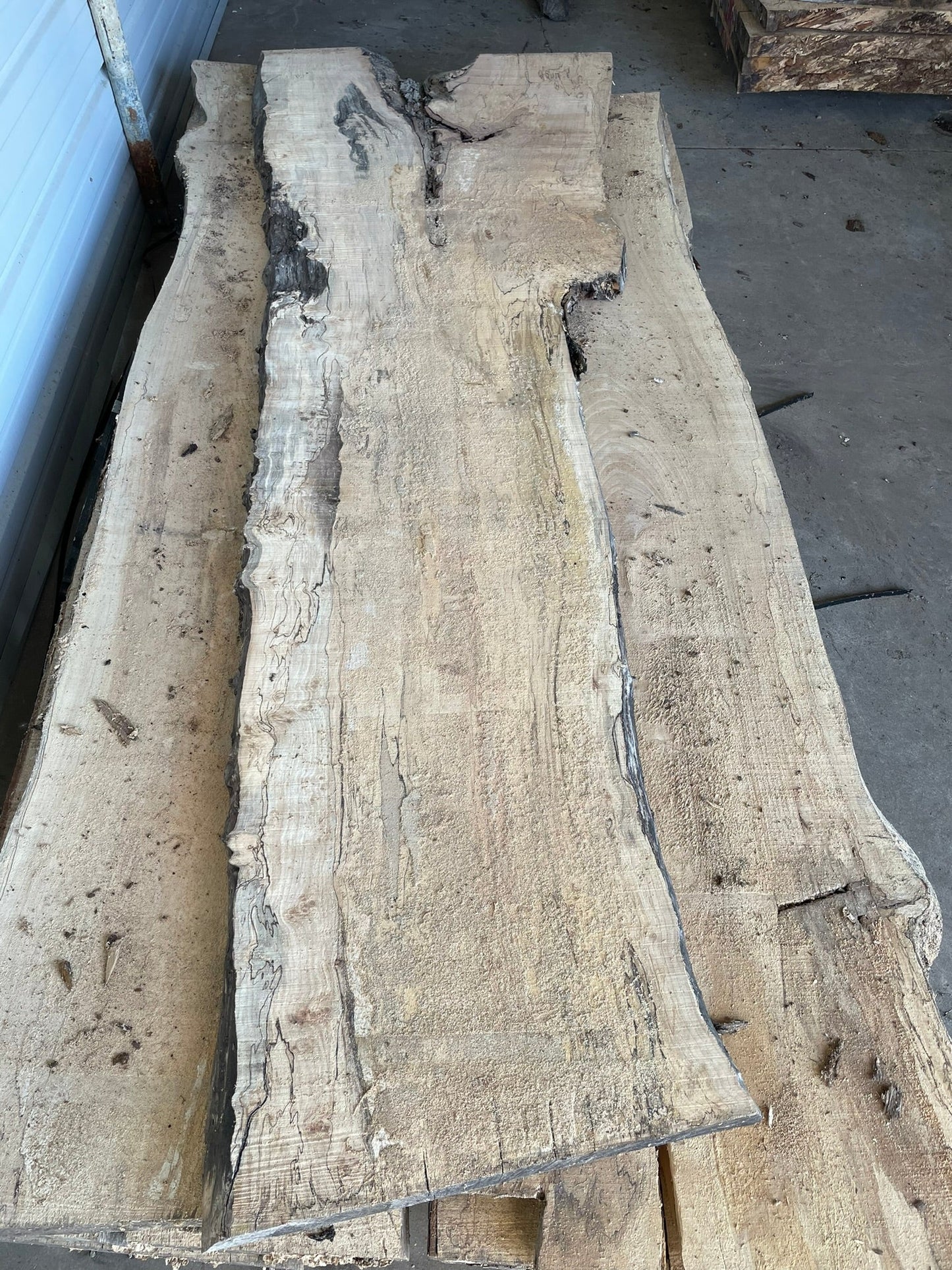 10/4 Live Edge Spalted Maple 22"+ Wide