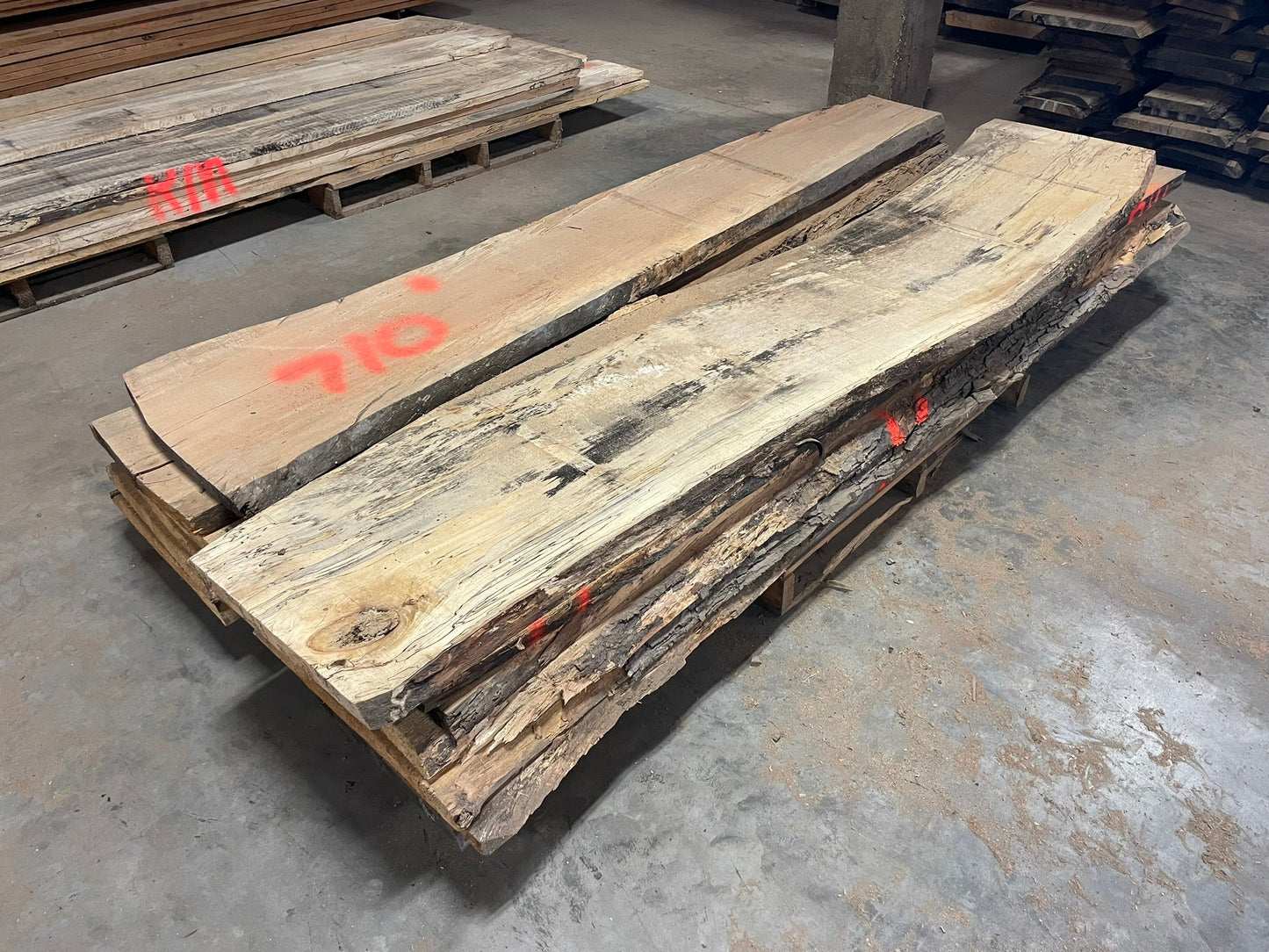 10/4 Live Edge Spalted Maple 16-21" Wide
