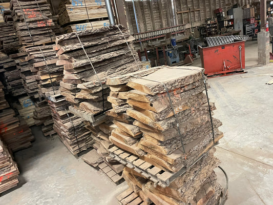 10/4 Black Walnut Gunstock Blanks