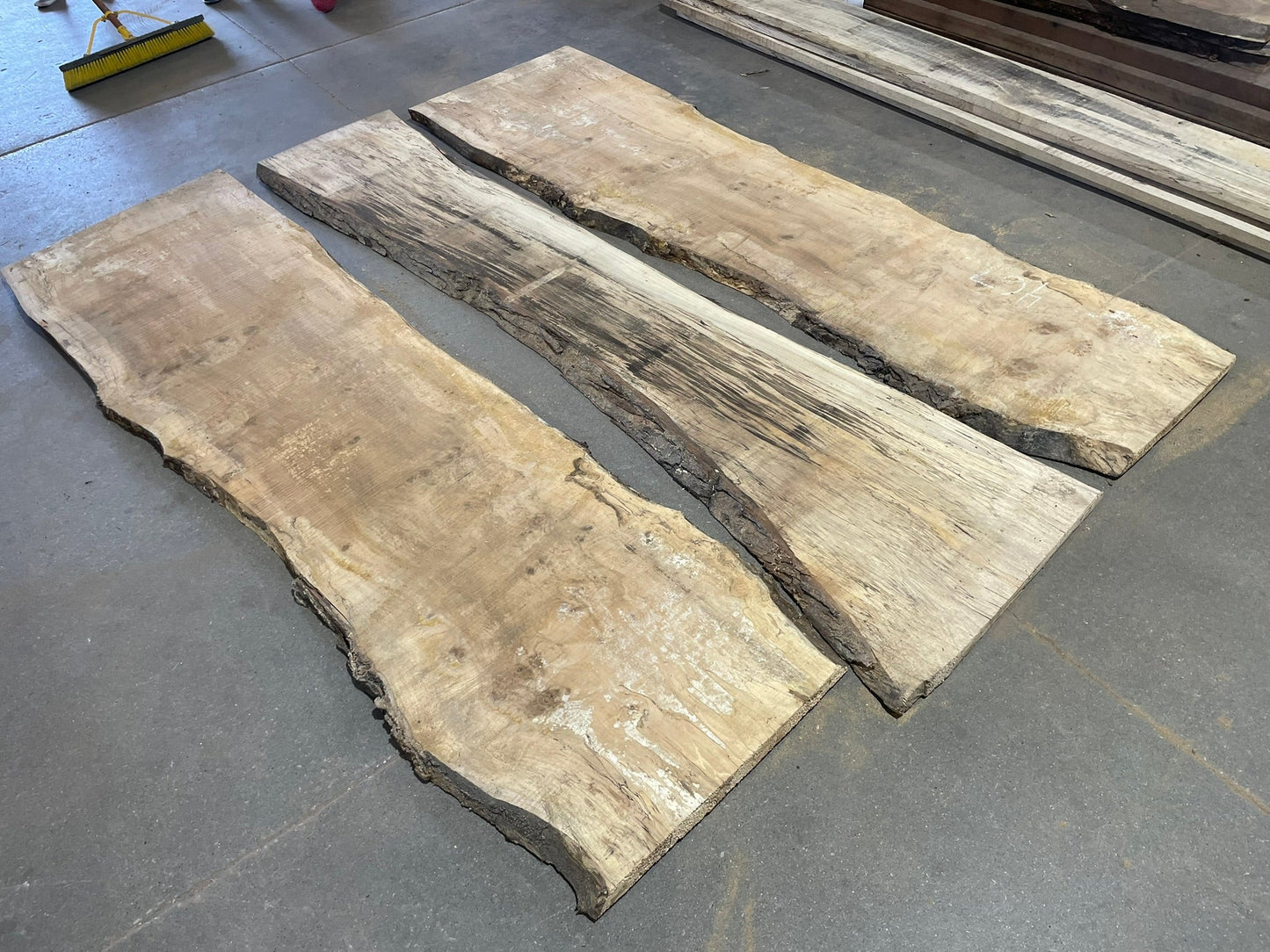 10/4 Live Edge Spalted Maple 22"+ Wide