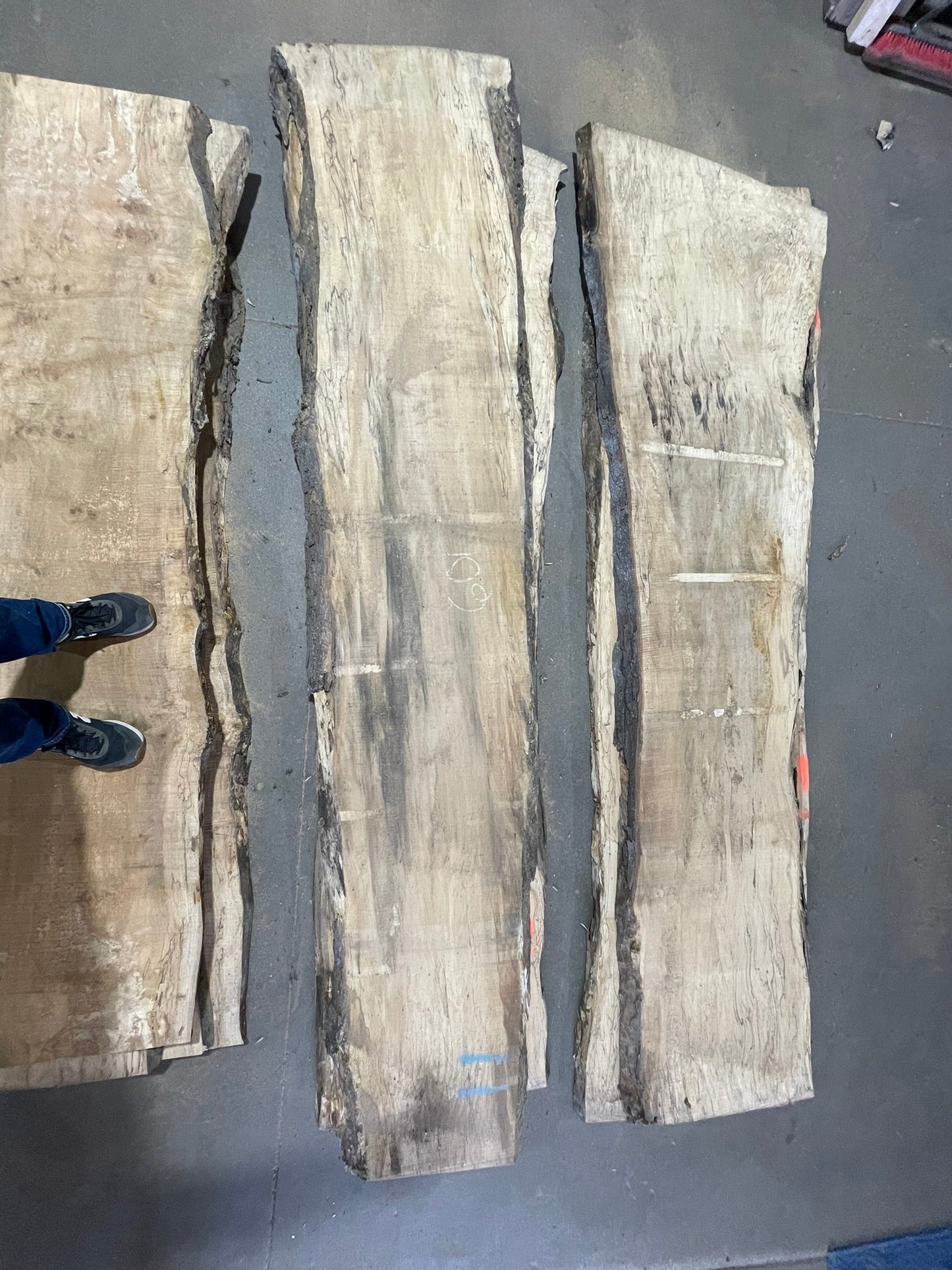 10/4 Live Edge Spalted Maple 22"+ Wide