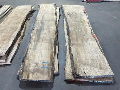 10/4 Live Edge Spalted Maple 22"+ Wide